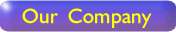 Our Company
